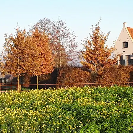 펜션 Eikenburg